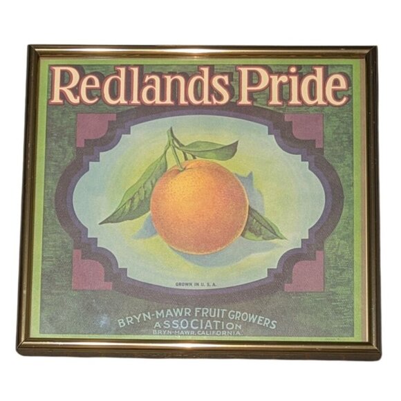 Redlands Pride Fruit Crate Art Print Gold colored metal Frame kitchen - Picture 3 of 7